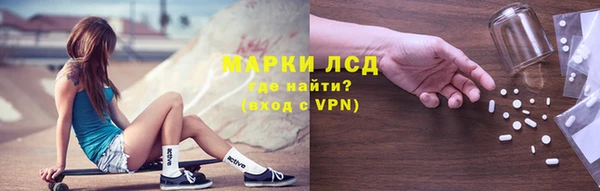 apvp Магас