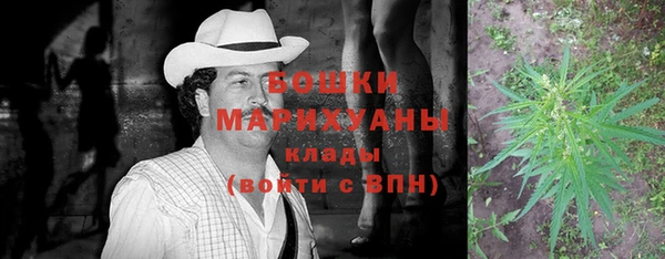 ПСИЛОЦИБИНОВЫЕ ГРИБЫ Майский