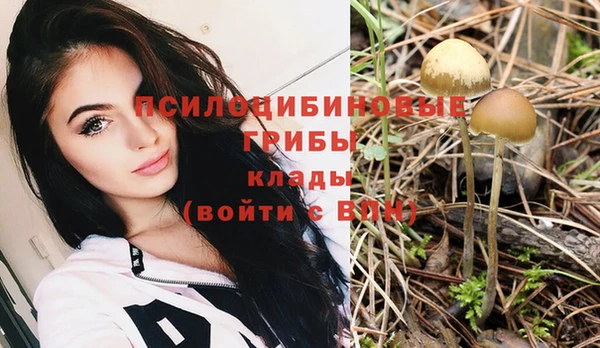 ПСИЛОЦИБИНОВЫЕ ГРИБЫ Майский