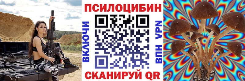 Купить где  Красноярск  Псилоцибиновые грибы прущие грибы 